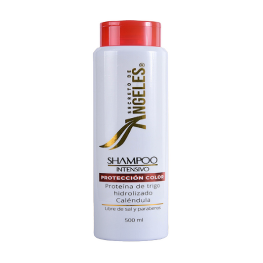 Shampoo Proteccion Color Secreto de Angeles