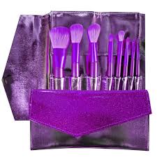 Brochas Profesional 8 Piezas Cartera Lujo